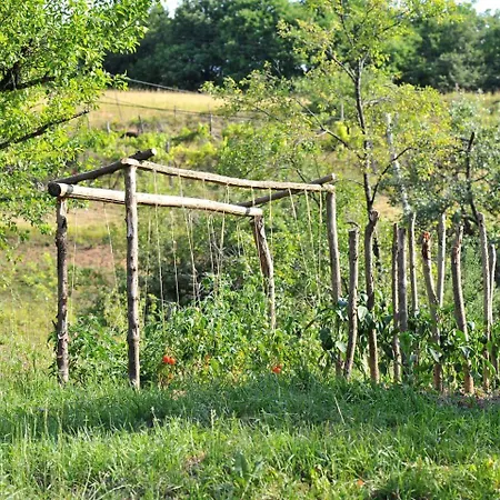 Idyllic Holiday Accommodation On A Beautiful Farm In Kozje, Eastern Slovenia *