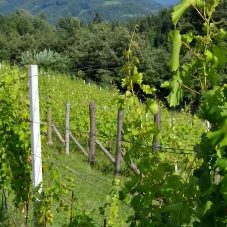 Holiday home Idyllic Holiday Accommodation On A Beautiful Farm In Kozje, Eastern Slovenia *