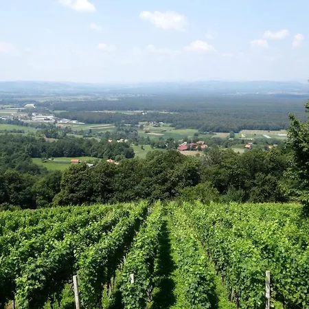 Holiday home Idyllic Holiday Accommodation On A Beautiful Farm In Kozje, Eastern Slovenia *